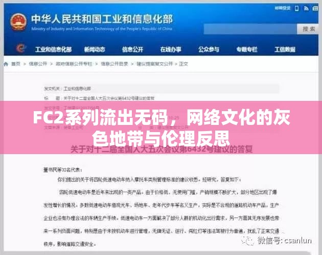 FC2系列流出無碼，網(wǎng)絡(luò)文化的灰色地帶與倫理反思