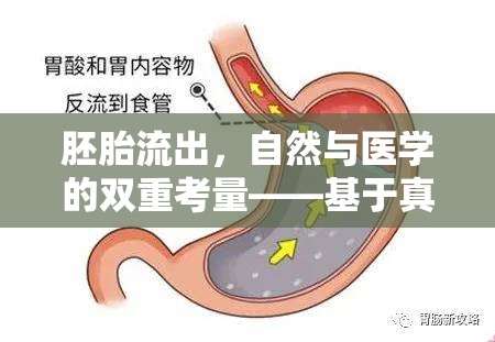 胚胎流出，自然與醫(yī)學(xué)的雙重考量——基于真實圖片的深度解析