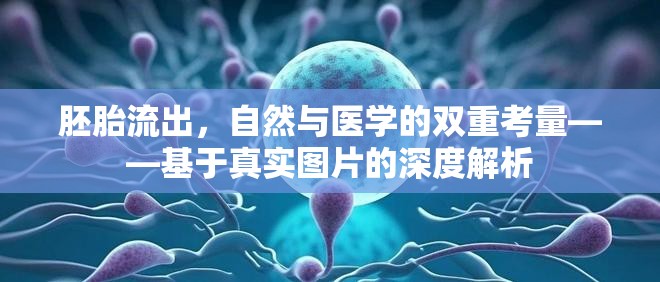 胚胎流出，自然與醫(yī)學(xué)的雙重考量——基于真實圖片的深度解析