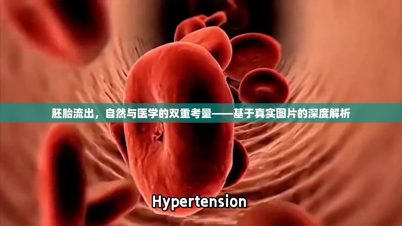 胚胎流出，自然與醫(yī)學(xué)的雙重考量——基于真實圖片的深度解析
