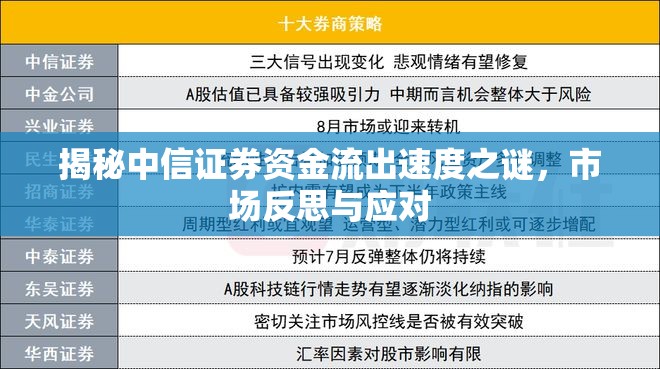 揭秘中信證券資金流出速度之謎，市場反思與應對