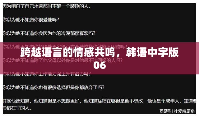 跨越語言的情感共鳴，韓語中字版06