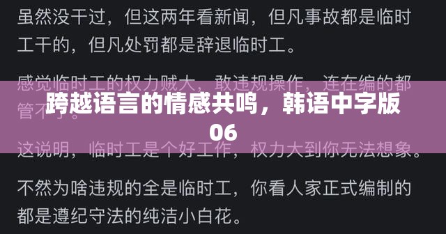 跨越語言的情感共鳴，韓語中字版06