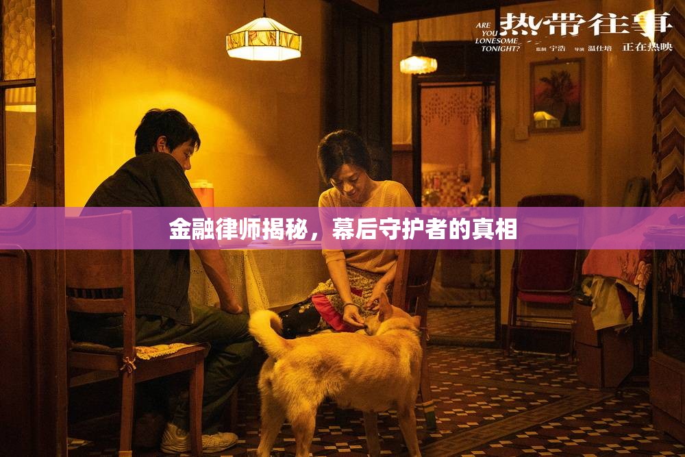 金融律師揭秘，幕后守護(hù)者的真相