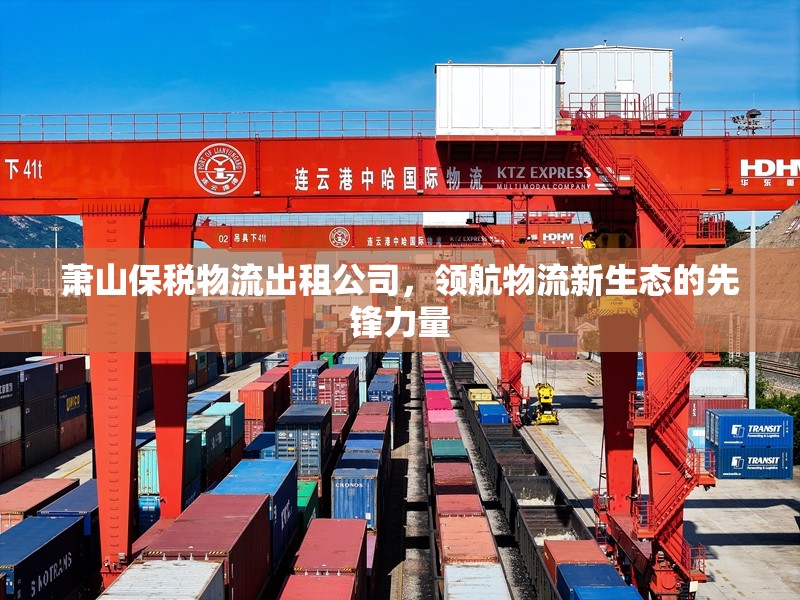 蕭山保稅物流出租公司，領航物流新生態(tài)的先鋒力量