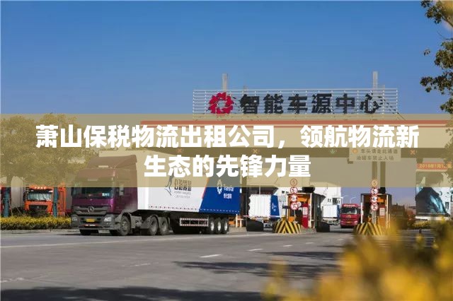 蕭山保稅物流出租公司，領航物流新生態(tài)的先鋒力量