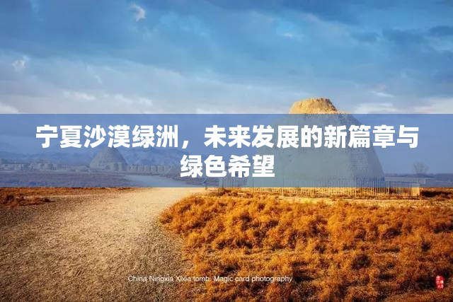 寧夏沙漠綠洲，未來(lái)發(fā)展的新篇章與綠色希望