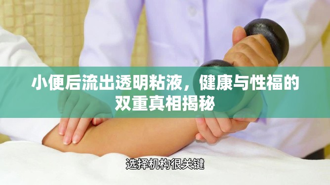 小便后流出透明粘液，健康與性福的雙重真相揭秘