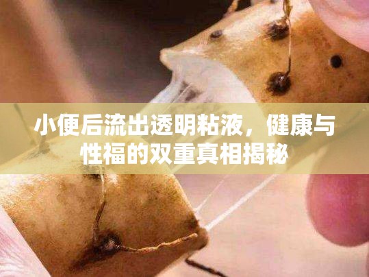 小便后流出透明粘液，健康與性福的雙重真相揭秘