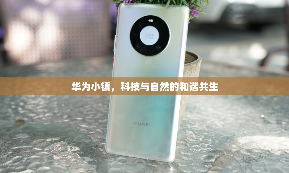 華為小鎮(zhèn)，科技與自然的和諧共生