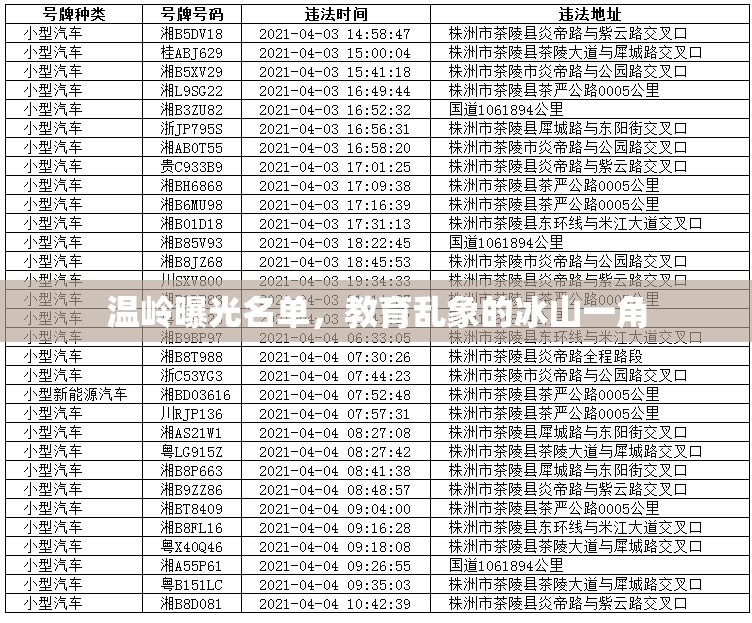 溫嶺曝光名單，教育亂象的冰山一角