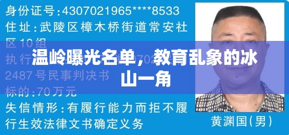 溫嶺曝光名單，教育亂象的冰山一角