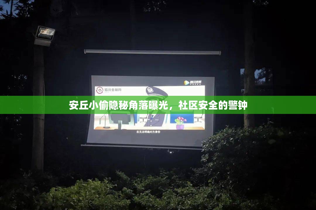 安丘小偷隱秘角落曝光，社區(qū)安全的警鐘