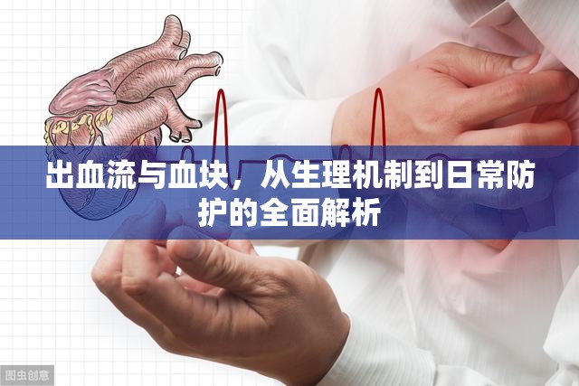 出血流與血塊，從生理機制到日常防護的全面解析