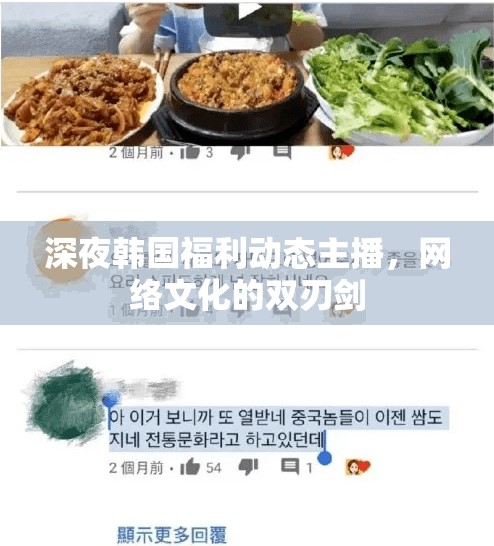 深夜韓國福利動(dòng)態(tài)主播，網(wǎng)絡(luò)文化的雙刃劍