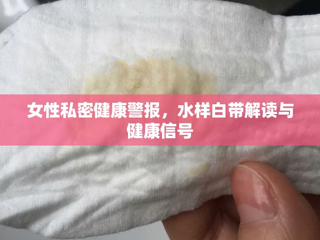 女性私密健康警報(bào)，水樣白帶解讀與健康信號(hào)