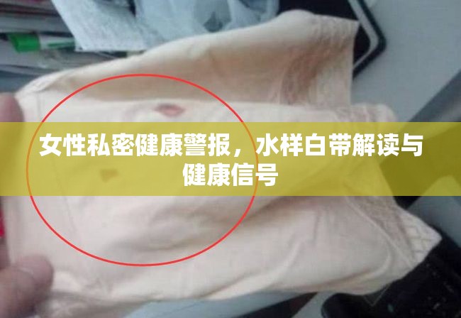 女性私密健康警報(bào)，水樣白帶解讀與健康信號(hào)