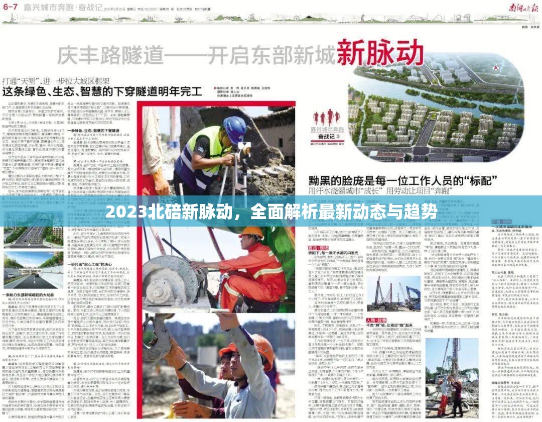 2023北碚新脈動，全面解析最新動態(tài)與趨勢