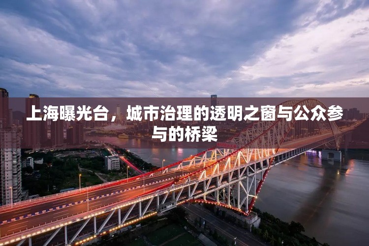上海曝光臺，城市治理的透明之窗與公眾參與的橋梁