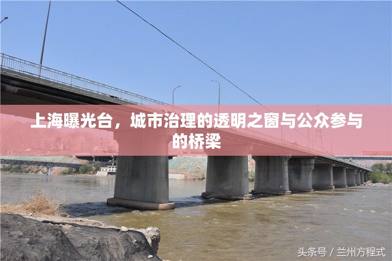 上海曝光臺，城市治理的透明之窗與公眾參與的橋梁