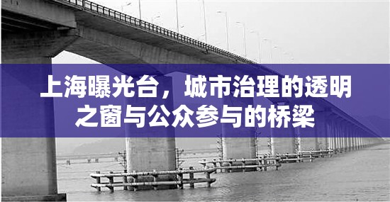 上海曝光臺，城市治理的透明之窗與公眾參與的橋梁