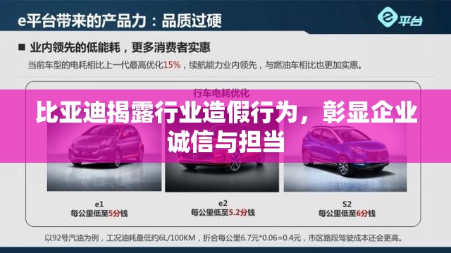 比亞迪揭露行業(yè)造假行為，彰顯企業(yè)誠信與擔(dān)當(dāng)