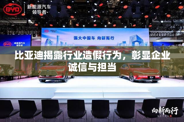 比亞迪揭露行業(yè)造假行為，彰顯企業(yè)誠信與擔(dān)當(dāng)