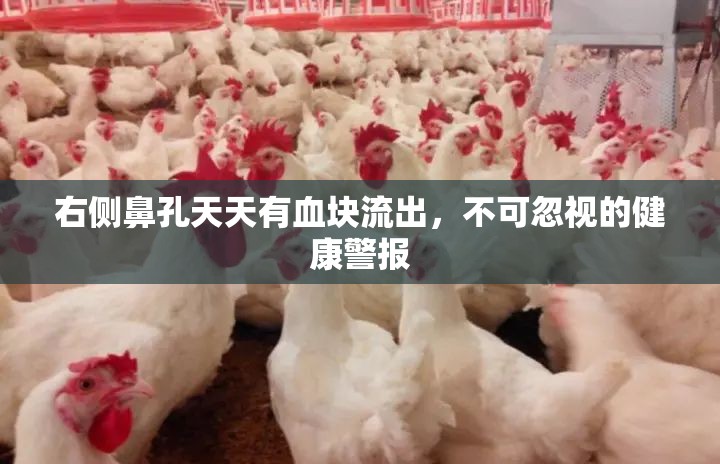 右側(cè)鼻孔天天有血塊流出，不可忽視的健康警報(bào)