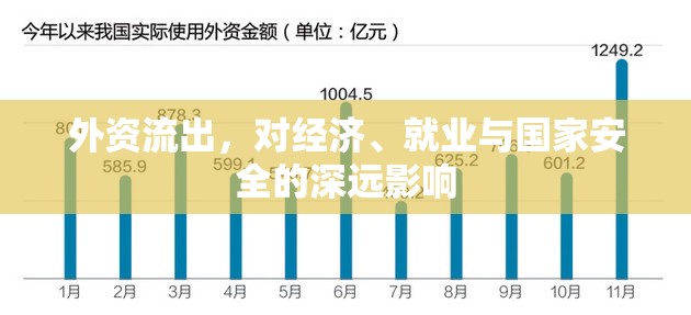 外資流出，對(duì)經(jīng)濟(jì)、就業(yè)與國家安全的深遠(yuǎn)影響