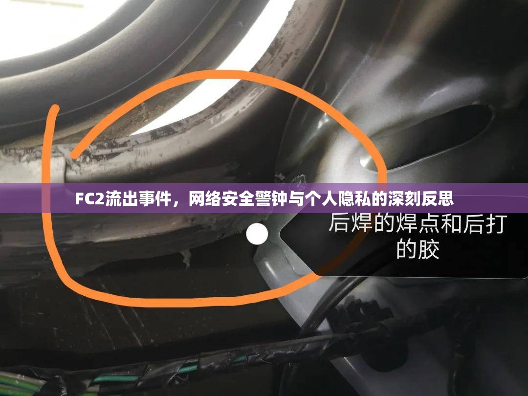 FC2流出事件，網(wǎng)絡(luò)安全警鐘與個人隱私的深刻反思