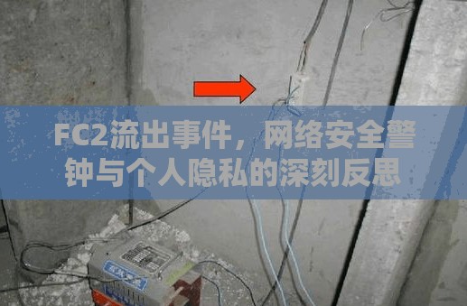 FC2流出事件，網(wǎng)絡(luò)安全警鐘與個人隱私的深刻反思