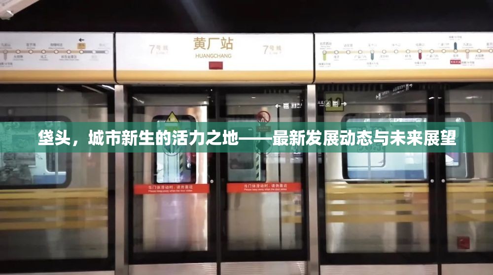 垡頭，城市新生的活力之地——最新發(fā)展動態(tài)與未來展望