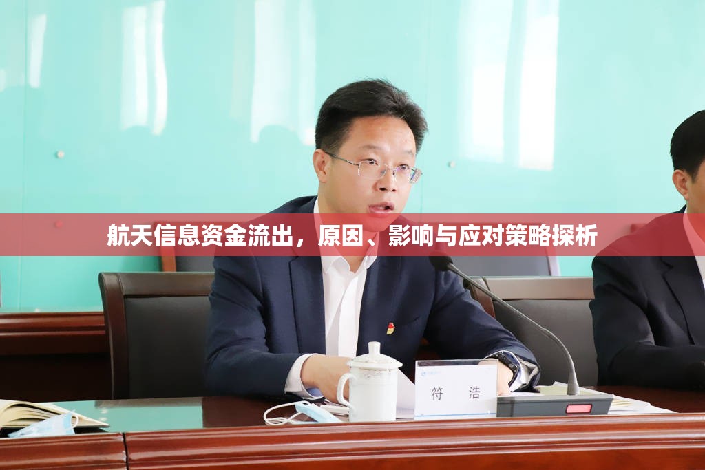 航天信息資金流出，原因、影響與應(yīng)對策略探析