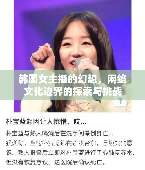 韓國女主播的幻想，網(wǎng)絡(luò)文化邊界的探索與挑戰(zhàn)
