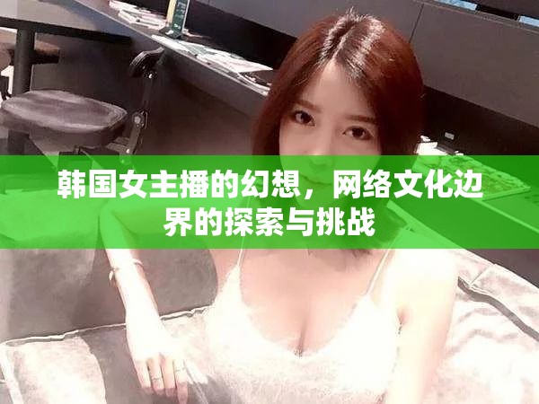 韓國女主播的幻想，網(wǎng)絡(luò)文化邊界的探索與挑戰(zhàn)