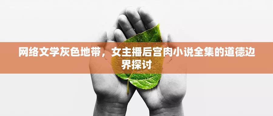 網(wǎng)絡(luò)文學灰色地帶，女主播后宮肉小說全集的道德邊界探討