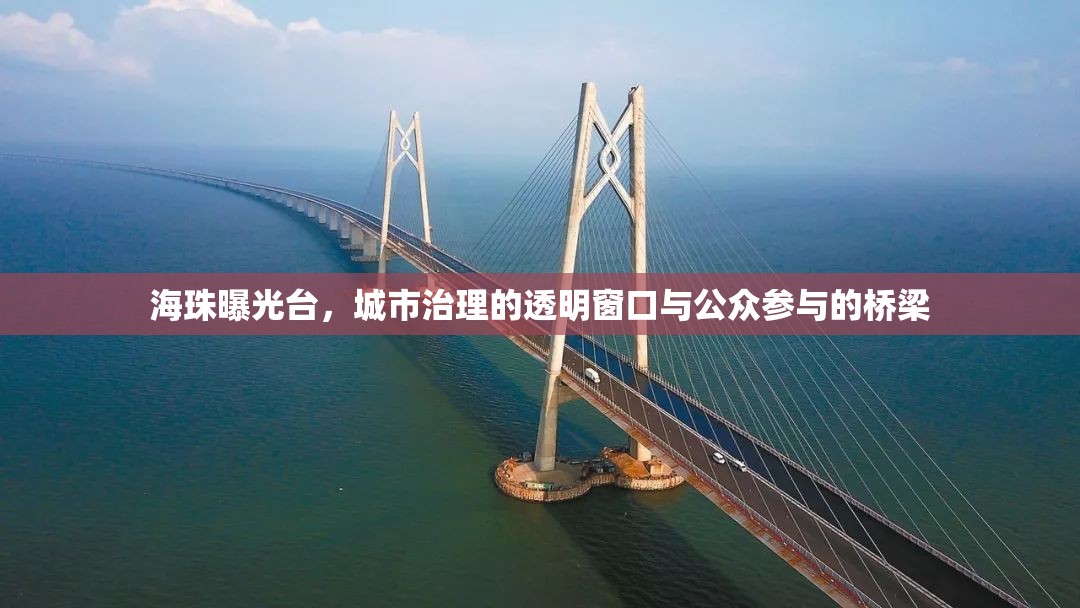 海珠曝光臺，城市治理的透明窗口與公眾參與的橋梁