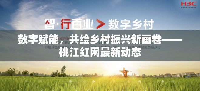數(shù)字賦能，共繪鄉(xiāng)村振興新畫卷——桃江紅網(wǎng)最新動態(tài)
