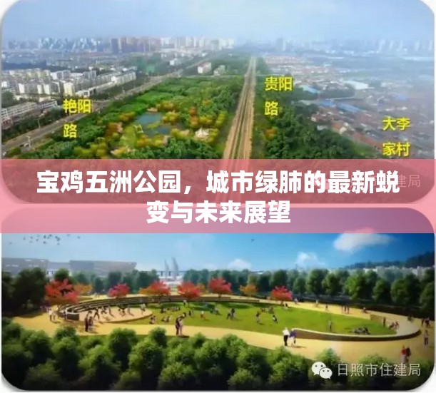 寶雞五洲公園，城市綠肺的最新蛻變與未來展望