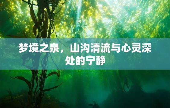 夢境之泉，山溝清流與心靈深處的寧靜
