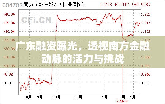 廣東融資曝光，透視南方金融動(dòng)脈的活力與挑戰(zhàn)