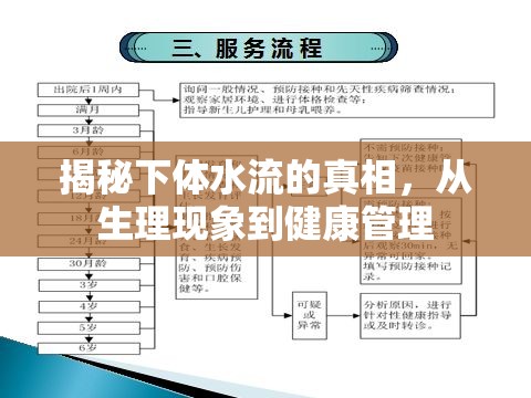 揭秘下體水流的真相，從生理現(xiàn)象到健康管理