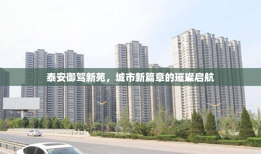 泰安御駕新苑，城市新篇章的璀璨啟航