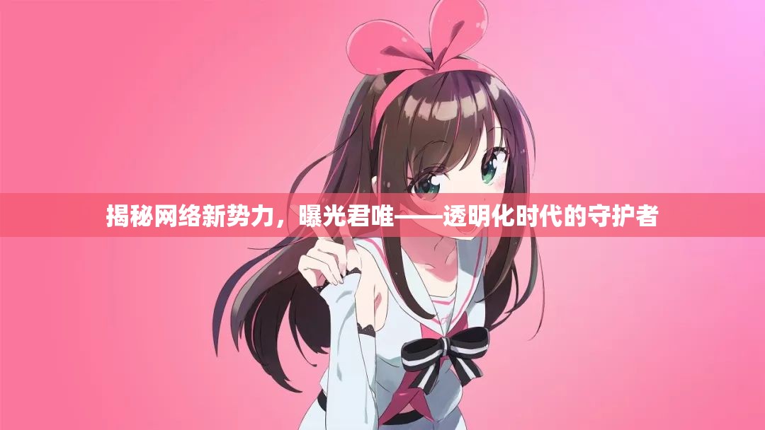 揭秘網(wǎng)絡(luò)新勢(shì)力，曝光君唯——透明化時(shí)代的守護(hù)者