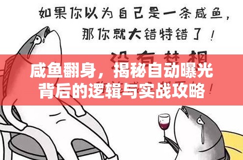 咸魚翻身，揭秘自動曝光背后的邏輯與實戰(zhàn)攻略