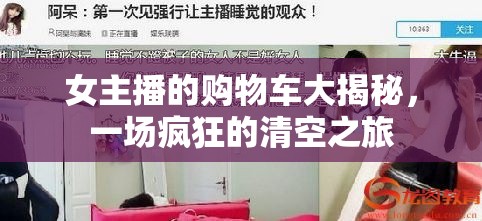 女主播的購物車大揭秘，一場(chǎng)瘋狂的清空之旅