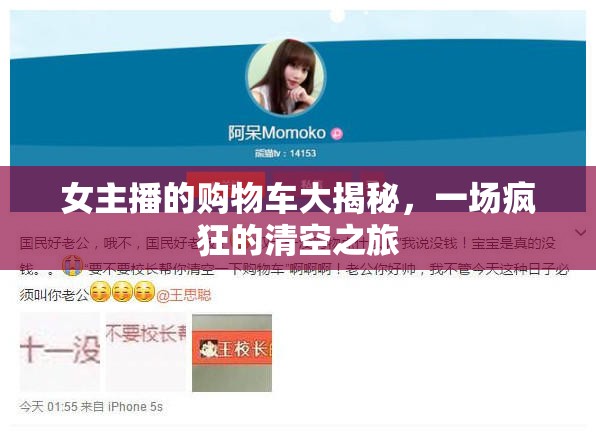 女主播的購物車大揭秘，一場(chǎng)瘋狂的清空之旅