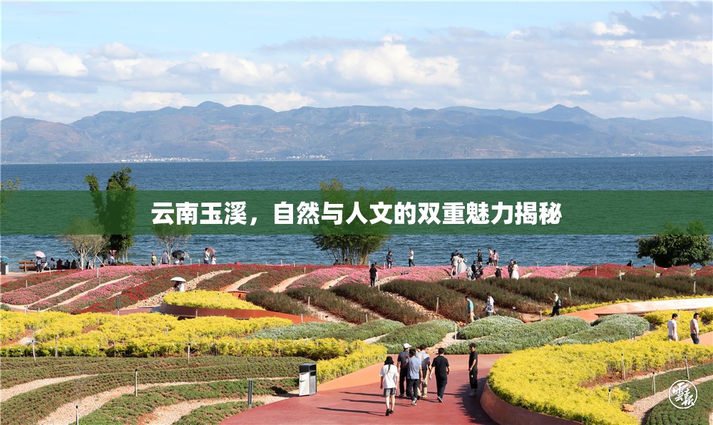 云南玉溪，自然與人文的雙重魅力揭秘