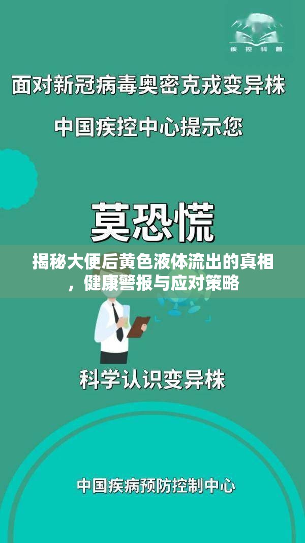 揭秘大便后黃色液體流出的真相，健康警報與應(yīng)對策略
