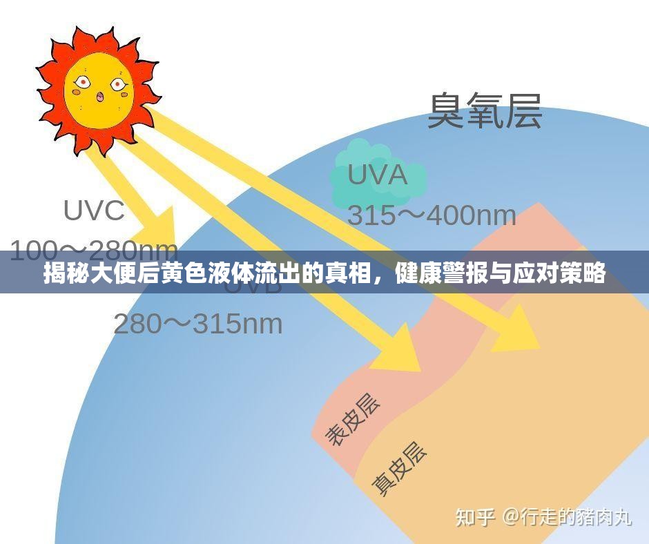 揭秘大便后黃色液體流出的真相，健康警報與應(yīng)對策略